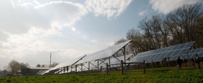 solar farm cropped