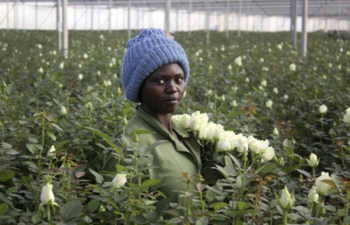 Kenya Flower Fortunes