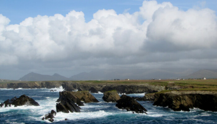 Around Clogher Head/Ireland
