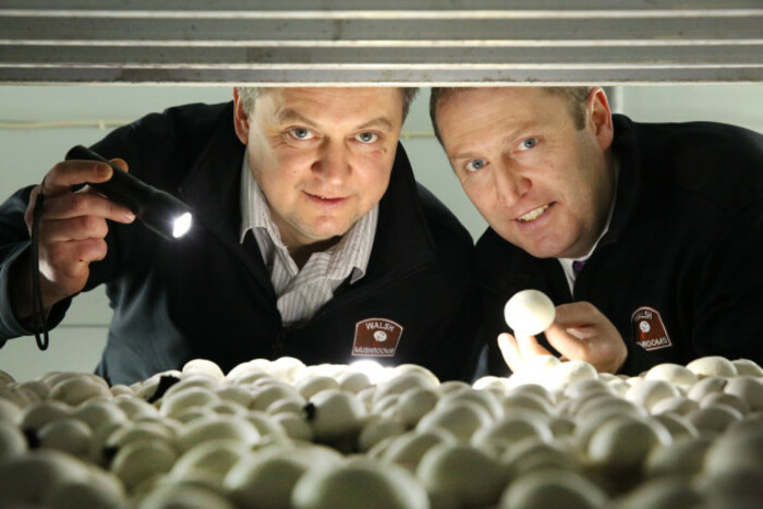 Vitali Shastak, Production Manager Walsh Mushrooms Golden Ltd &amp; Padraic O'Leary, MD, Walsh Mushrooms.jpg