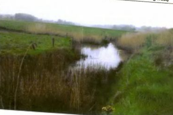 waterford houses stream