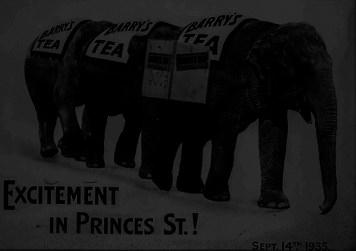 1935 barrys tea