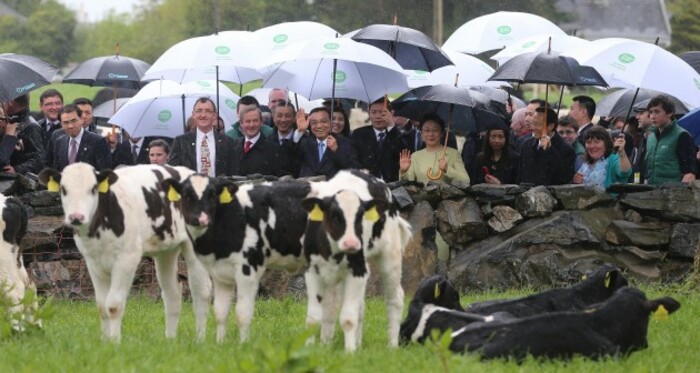 Premier of the People's Republic of China visit to Ireland