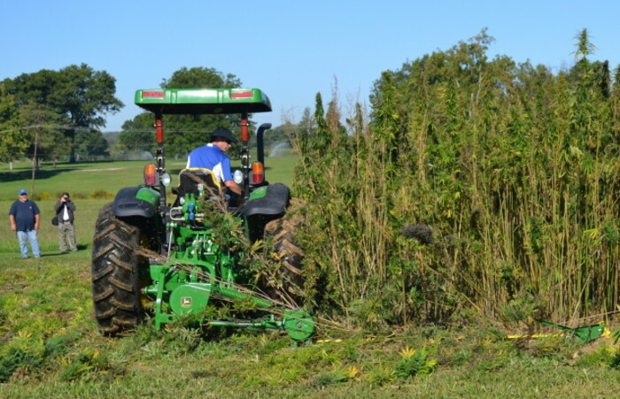 Industrial Hemp
