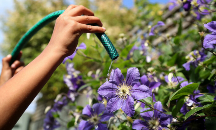 United Utilities hosepipe ban