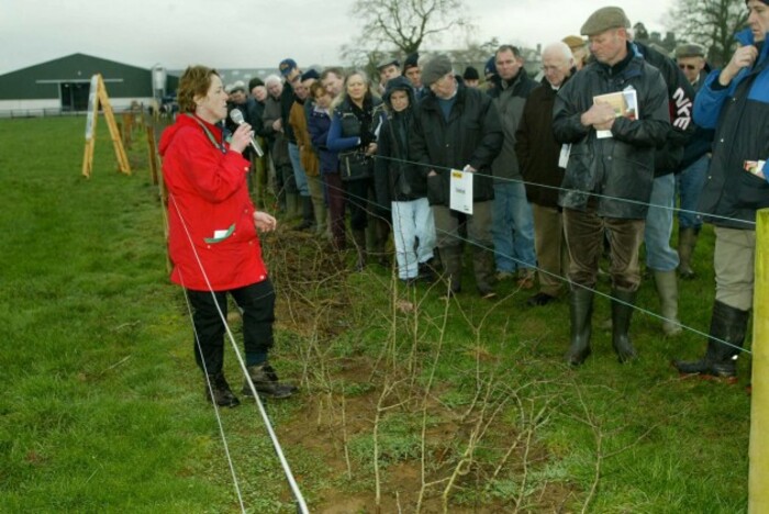 Teagasc Biodiversity Farm Walk 11