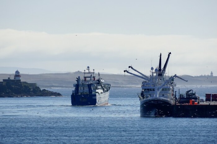 Net Loss - Killybegs - Maria Delaney18