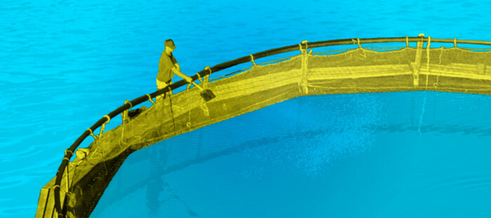 Troubled Waters project design featuring man maintaining a salmon farm