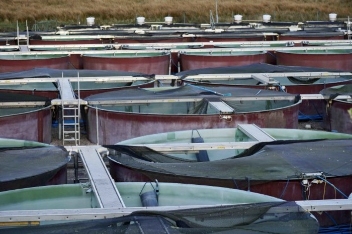 Salmon pens at Mowi&rsquo;s Lough Altan hatchery in Co Donegal