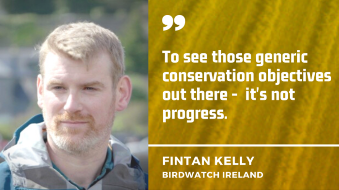 To see those generic conservation objectives out there -  it's not progress - Fintan Kelly, BirdWatch ireland