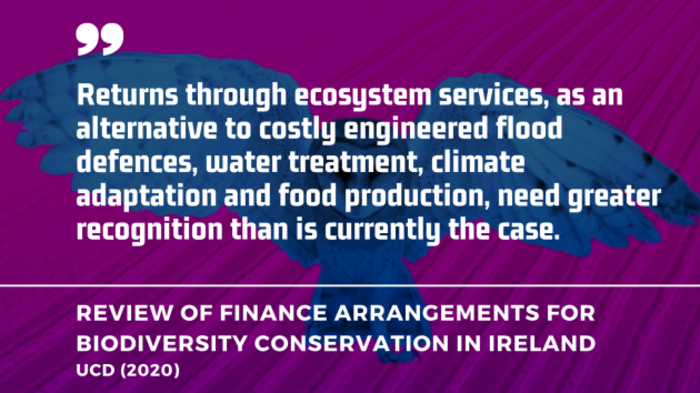 Returns through ecosystem services, as an alternative to costly engineered flood defences, water treatment, climate adaptation and food production, need greater recognition than is currently the case. - UCD