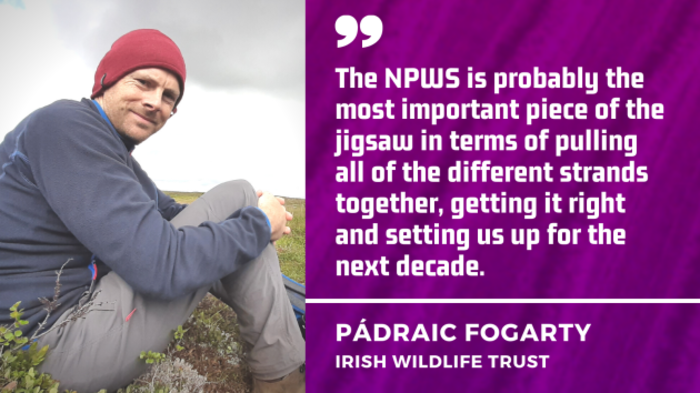 The NPWS is probably the most important piece of the jigsaw in terms of pulling all of the different strands together, getting it right and setting us up for the next decade - Irish Wildlife Trust
