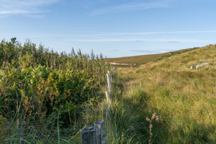 A fence separating two parcels of land with more high nature value farmland on the left side and grass on the right side