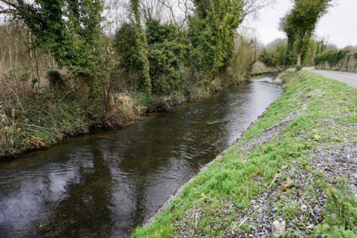 A bank of gravel with small bits of greenery coming through it sits beside a river. There is vegetation on the other side of the river and some trees in the background. 