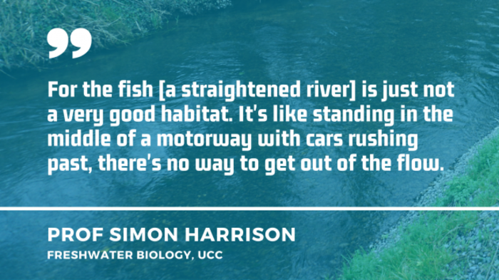 Straight section of river in the background with quote from Prof Simon Harrison - freshwater biology in UCC - For the fish a straightened river is just not a very good habitat. It's like standing in the middle of a motorway with cars rushing past, there's no way to get out of the flow.