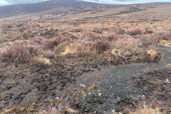 Brown boggy area with some heather and other vegetation in place but no vegetation in others with peat exposed.