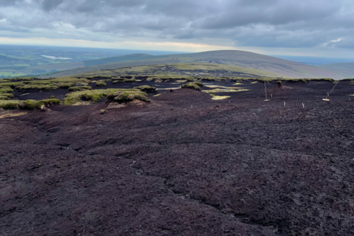 Large section of exposed peat with no vegetation in the foreground with some green patches and hills in the distance. 