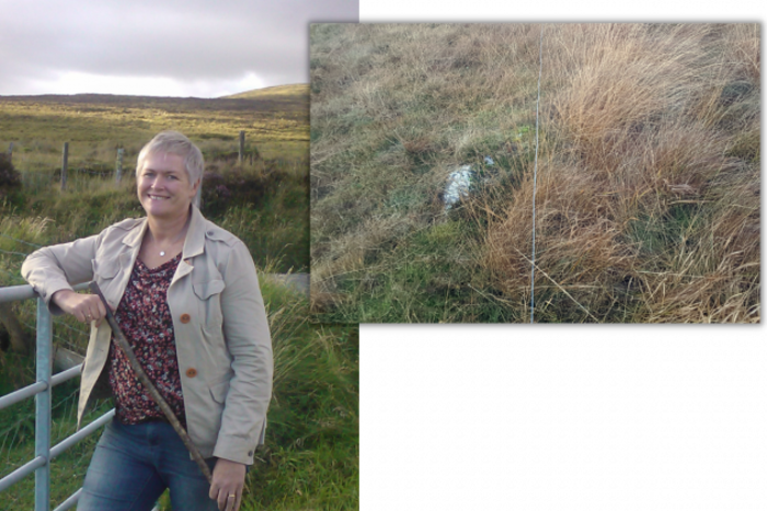 On the left is Eileen Condron wearing a patterned top and cream jacket leaning against a gate with farmland in the background and on the right is a field marked along the ground with grazed grass on one side and higher tufts of grass on the other. 