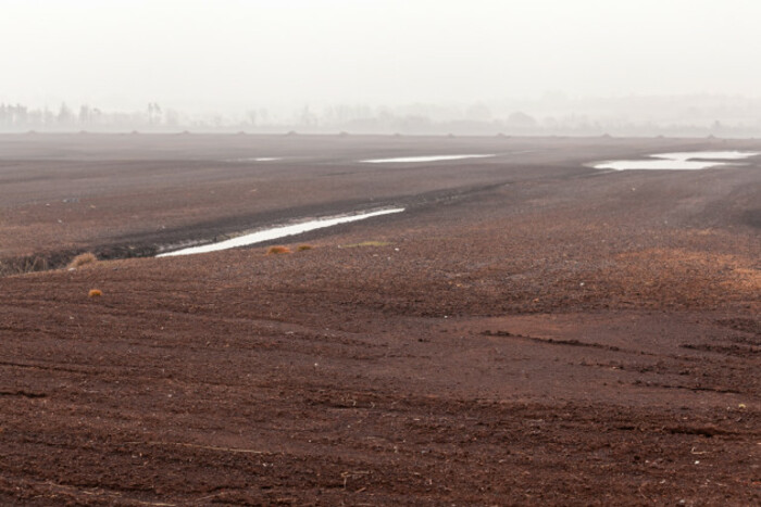 Photo of a bog with little to no vegetation left