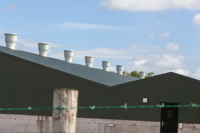 Side and roof of a grey poultry shed with air vents coming out the top of the roof