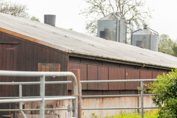 Side and roof of a poultry shed with air vents coming out the top of the roof