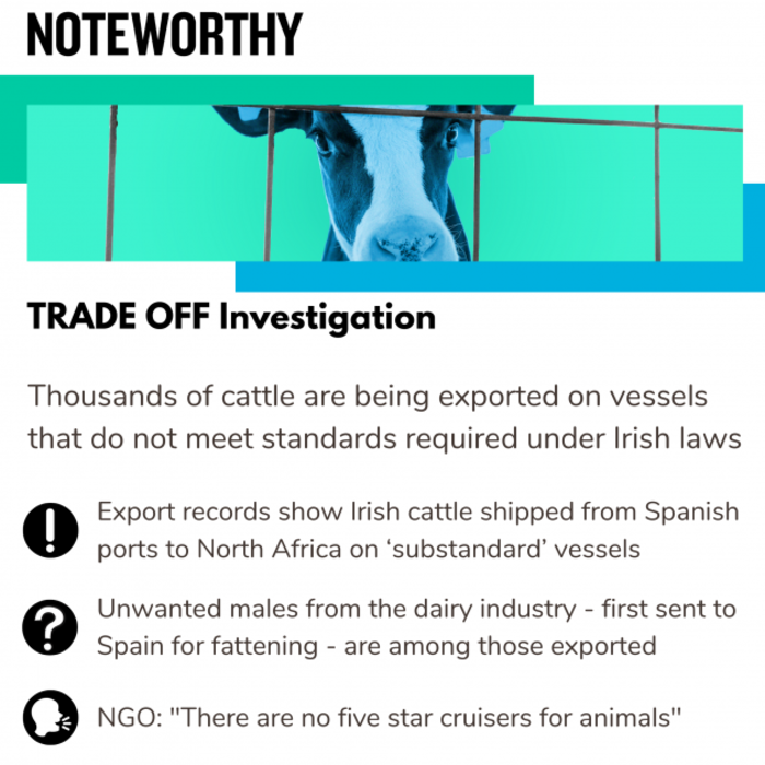 TRADE OFF Investigation Thousands of cattle are being exported on vessels that do not meet standards required under Irish laws Export records show Irish cattle shipped from Spanish ports to North Africa on &lsquo;substandard&rsquo; vessels Unwanted males from the dairy industry - first sent to Spain for fattening - are among those exported NGO: 