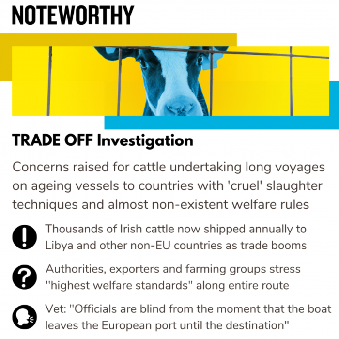TRADE OFF Investigation Concerns raised for cattle undertaking long voyages on ageing vessels to countries with 'cruel' slaughter techniques and almost non-existent welfare rules