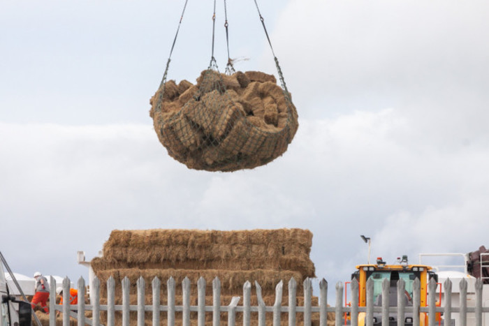Bales of straw being lowered by a crane onto a ship transporting Irish cattle to Libya