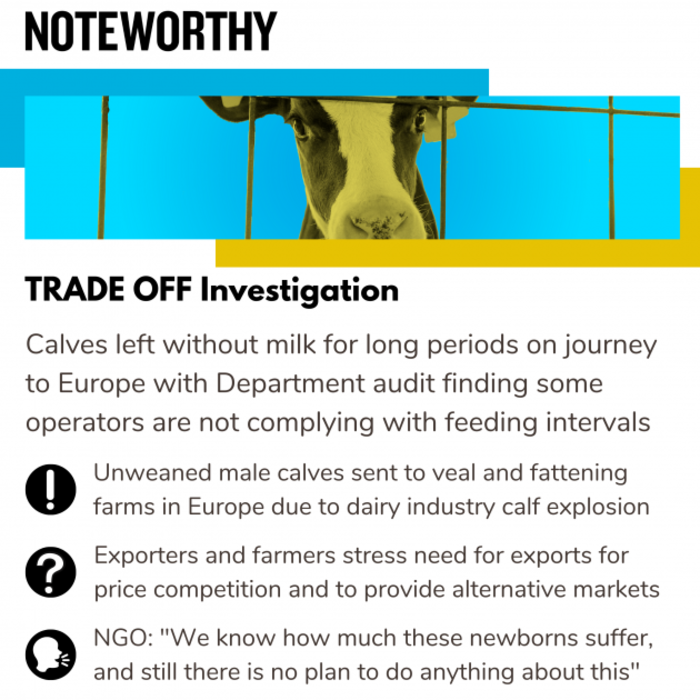 TRADE OFF Investigation Calves left without milk for long periods on journey to Europe with Department audit finding some operators are not complying with feeding intervals