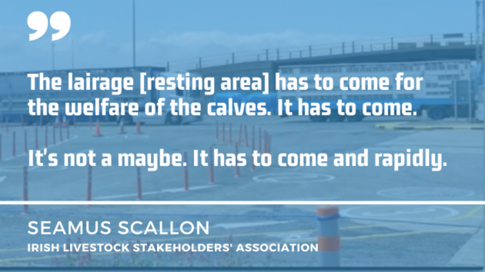 Background depicts trucks arriving at a port with calves. Text overlay is a quote by Seamus Scallon - a key player in the live export market - The lairage resting area has to come for the welfare of the calves. It has to come.  It's not a maybe. It has to come and rapidly.