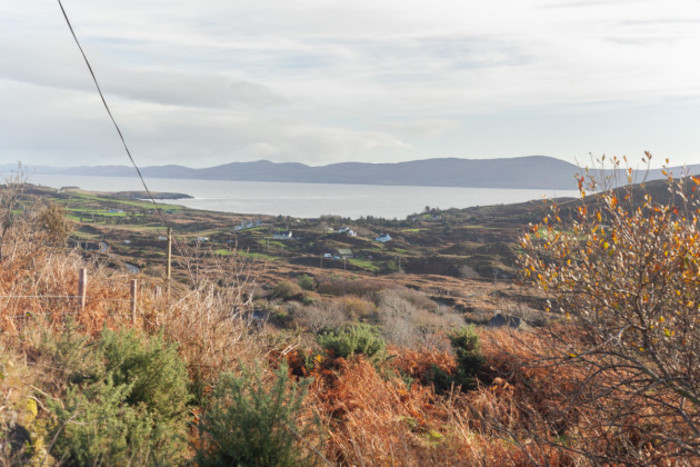 View of the houses on Bere Island with scrub and trees in the foreground and the Atlantic Ocean