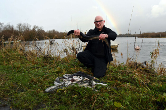 O&rsquo;Connor wearing dark trousers and top hunkering on the side of the river holding a dead eel with both hands. A number of dead eels are also lying in front of him on the river bank. A small boat and rainbow can be seen in the background. 