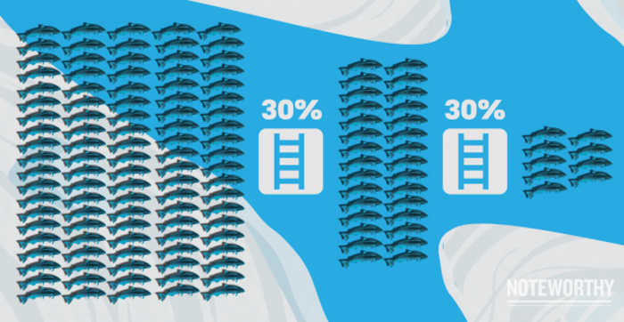 Infographic depicting 100 fish passing over a ladder marked 30%, resulting in 30 fish, which then pass over another ladder marked 30%, resulting in nine fish at the end. 